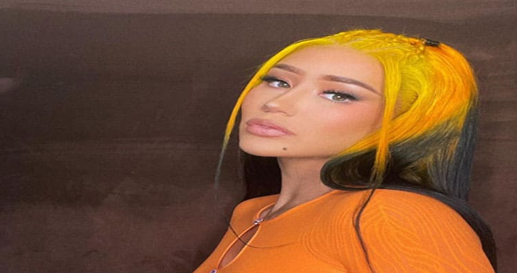 Reddit’s Iggy Azalea: Get Complete Information On Leaked Videos, Net Worth, Instagram, Age And Baby